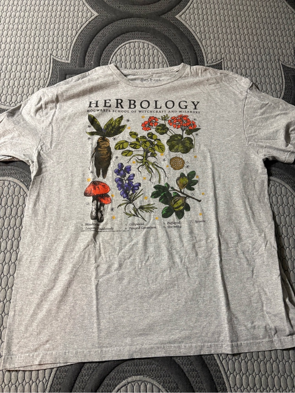 Warner Bros. Herbology Graphic Tee - Light Gray with Multicolor Print